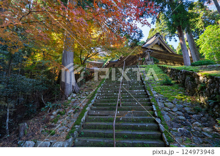 福井県若狭小浜市の紅葉まっさかりの明通寺を撮影 124973948