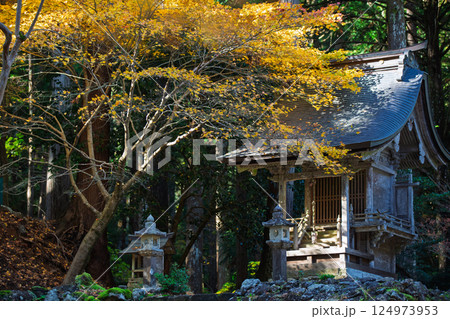 福井県若狭小浜市の紅葉まっさかりの明通寺を撮影 124973953