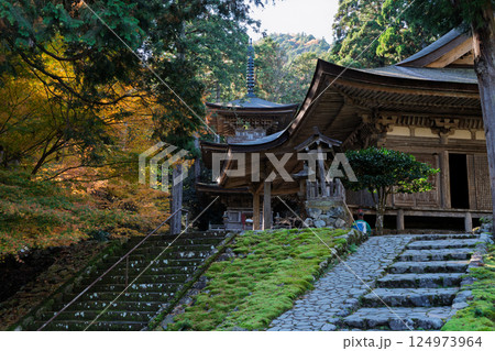 福井県若狭小浜市の紅葉まっさかりの明通寺を撮影 124973964
