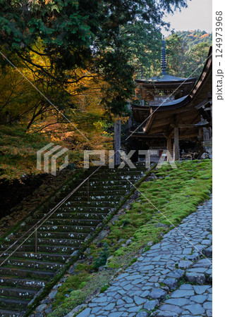 福井県若狭小浜市の紅葉まっさかりの明通寺を撮影 124973968
