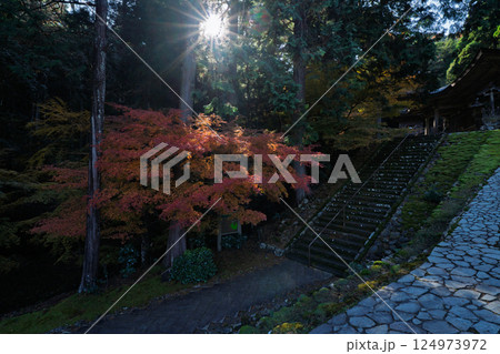 福井県若狭小浜市の紅葉まっさかりの明通寺を撮影 124973972