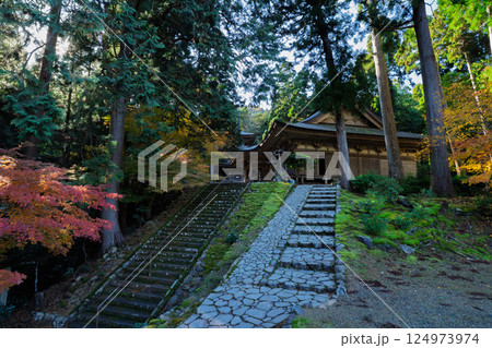 福井県若狭小浜市の紅葉まっさかりの明通寺を撮影 124973974