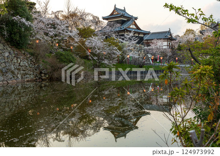 夕暮れ時の郡山城址の桜 夕暮れ時の郡山城址の桜 124973992