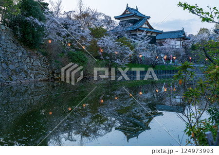 郡山城址の提灯と桜 124973993