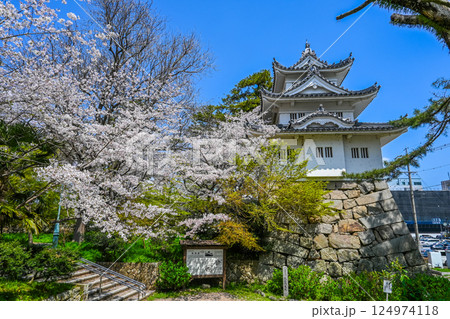 桜と津城 三重県津市  124974118