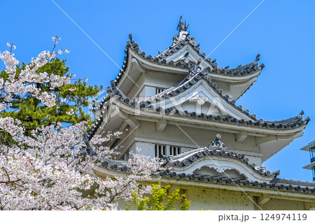 桜と津城 三重県津市  124974119