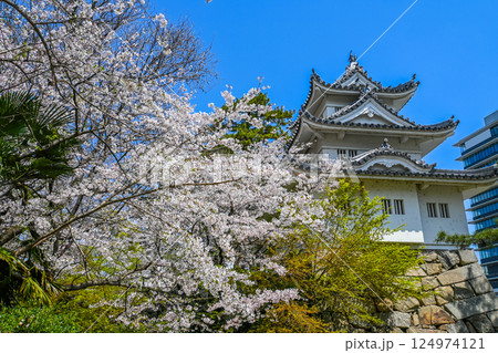 桜と津城 三重県津市  124974121