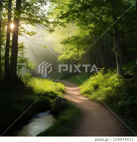 朝の陽ざし 124974411