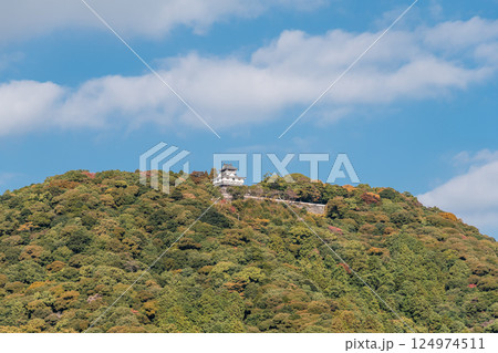 【岩国城】 【岩国城】 124974511
