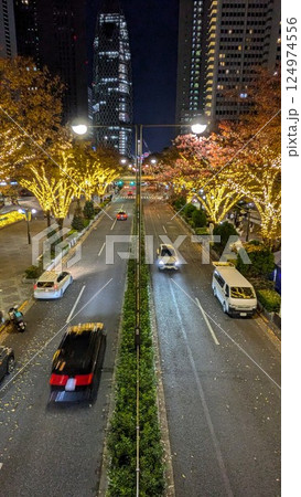 都市風景　新宿　東京都庁前 124974556