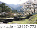 養老公園と満開の桜 124974772