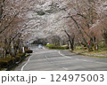 寺尾が原桜道2K M 満開 124975003