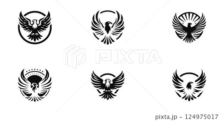 Powerful Eagle Design Set. Black and White Eagle. Clean Eagle Illustration Set. Wings of Freedom. 124975017