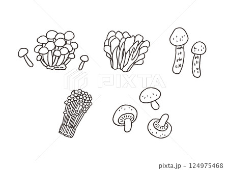 きのこ類の手描きイラストセット（モノクロ） 124975468