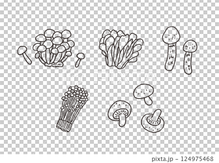 きのこ類の手描きイラストセット（モノクロ） 124975468
