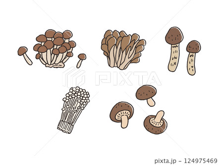 きのこ類の手描きイラストセット（カラー） 124975469
