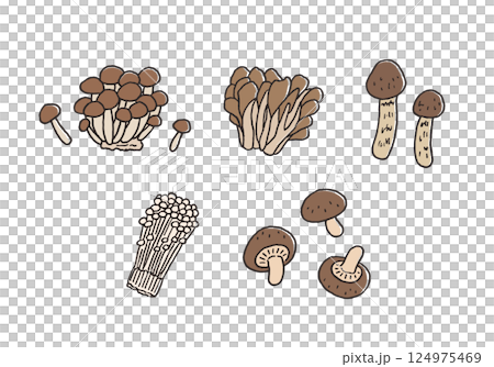 きのこ類の手描きイラストセット（カラー） 124975469