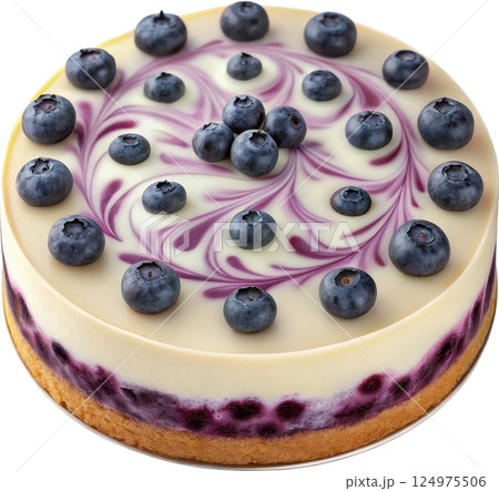 Blueberry Cheesecake with Swirled Frosting 124975506