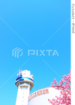 兵庫県明石市、明石市立天文科学館と河津桜の風景 124975712