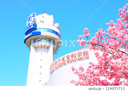 兵庫県明石市、明石市立天文科学館と河津桜の風景 兵庫県明石市、明石市立天文科学館と河津桜の風景 124975713