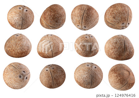 coconuts Isolated on a white background 124976416