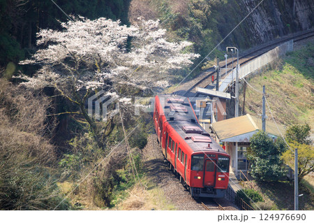 桜咲く杉河内駅に停車する赤い列車(JR九州 キハ200系) 桜咲く杉河内駅に停車する赤い列車(JR九州 キハ200系) 124976690