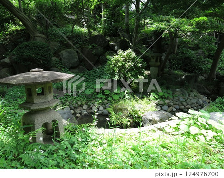 世田谷区の等々力渓谷公園にある日本庭園 世田谷区の等々力渓谷公園にある日本庭園 124976700