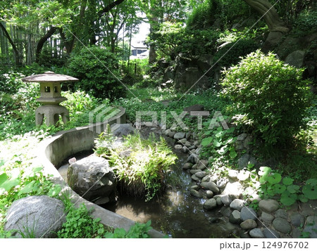世田谷区の等々力渓谷公園にある日本庭園 124976702
