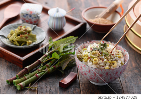 春だけの贅沢 イタドリごはん （イタドリとジャコの混ぜご飯） 124977029