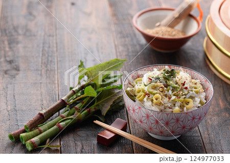 春だけの贅沢 イタドリごはん （イタドリとジャコの混ぜご飯） 124977033