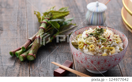 春だけの贅沢 イタドリごはん (イタドリとジャコの混ぜご飯) 春だけの贅沢 イタドリごはん (イタドリとジャコの混ぜご飯) 124977042