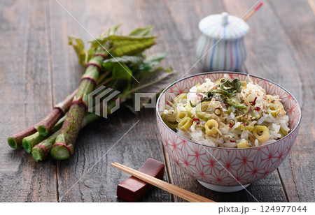 春だけの贅沢 イタドリごはん （イタドリとジャコの混ぜご飯） 124977044