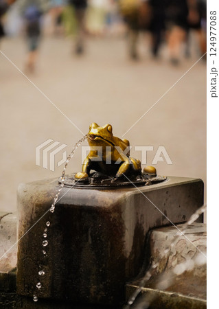 水を吹くカエル 水を吹くカエル 124977088