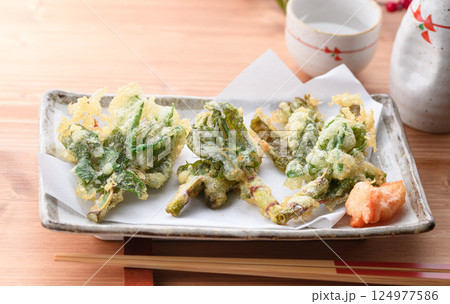 春だけの贅沢 イタドリの天婦羅 ( 郷土料理 ) 春だけの贅沢 イタドリの天婦羅 ( 郷土料理 ) 124977586