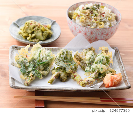 春だけの贅沢 イタドリの天婦羅とお漬物とイタドリご飯 春だけの贅沢 イタドリの天婦羅とお漬物とイタドリご飯 124977590