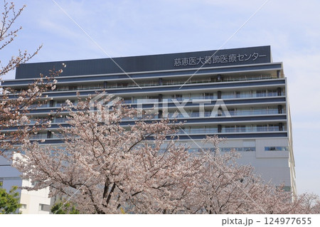 満開の桜と慈恵医大葛飾医療センター 葛飾区青戸 満開の桜と慈恵医大葛飾医療センター 葛飾区青戸 124977655