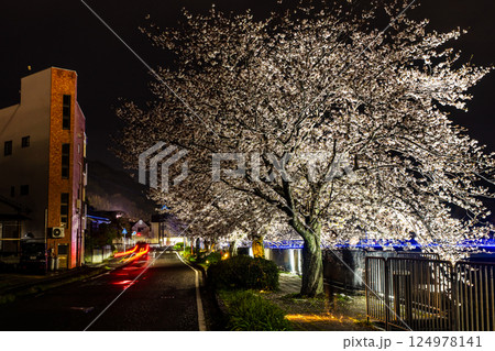八郎川の桜並木のライトアップ【長崎市】 八郎川の桜並木のライトアップ【長崎市】 124978141