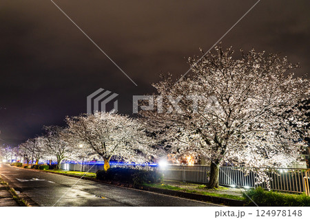 八郎川の桜並木のライトアップ【長崎市】 124978148