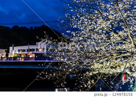 八郎川の桜並木のライトアップ【長崎市】 124978158