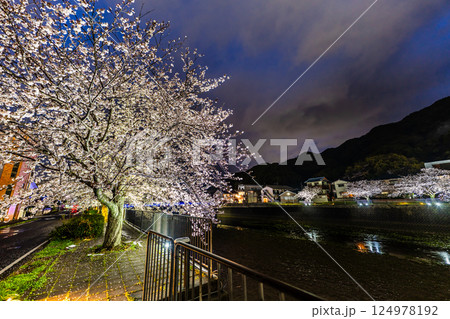 八郎川の桜並木のライトアップ【長崎市】 八郎川の桜並木のライトアップ【長崎市】 124978192