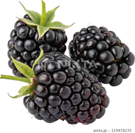 A group of ripe fresh blackberries, showcasing a cluster of plump juicy 124978235