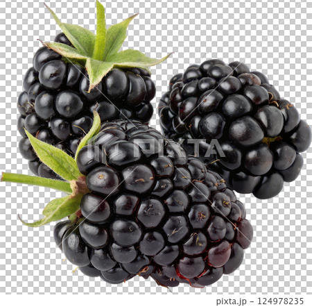 A group of ripe fresh blackberries, showcasing a cluster of plump juicy 124978235