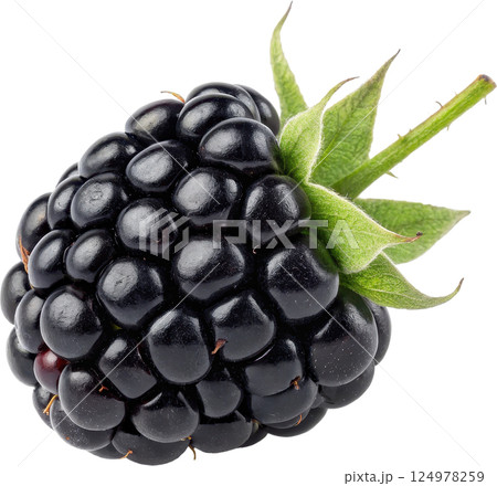 Fresh ripe blackberry with green leaves 124978259