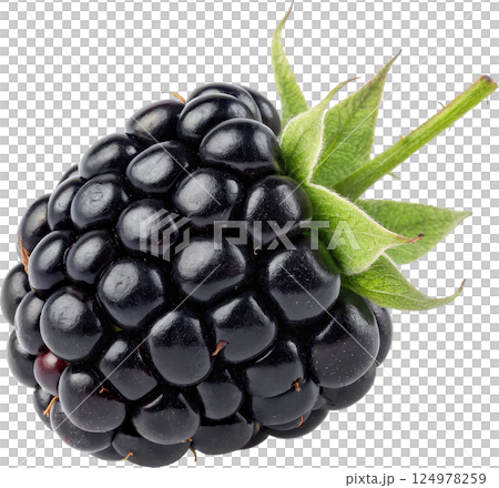 Fresh ripe blackberry with green leaves 124978259