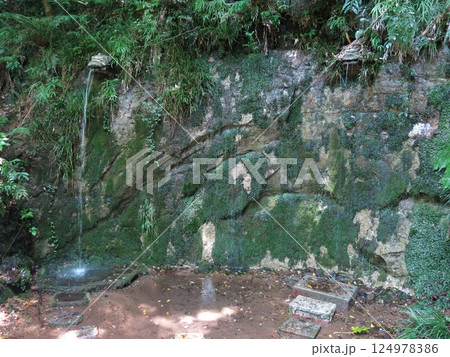 世田谷区の等々力渓谷にある不動の滝（不動の瀧） 124978386