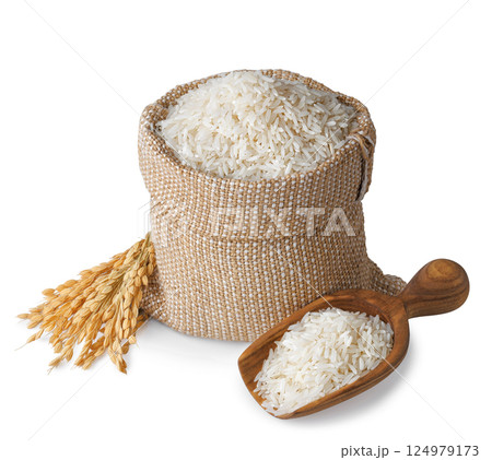 long rice in burlap sack and wooden scoop with ears isolated on white background 124979173