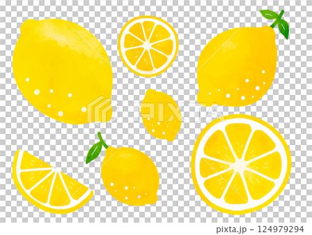 シンプルなレモンのベクターイラストセット 124979294