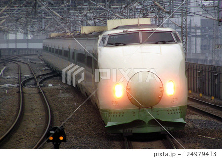 東北新幹線／上越新幹線200系原型車（F編成12両） 124979413