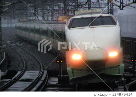 東北新幹線／上越新幹線200系原型車（F編成12両） 124979414