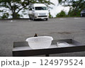 お遍路の駐車場にいた小鳥 124979524